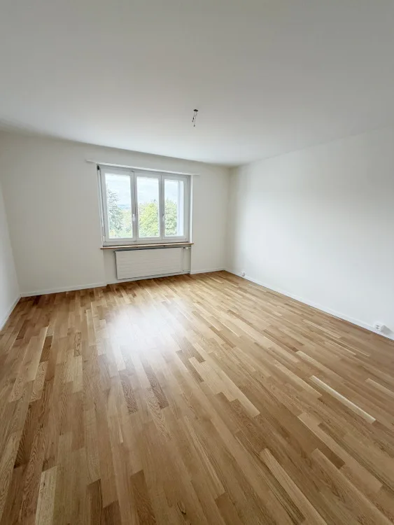 Charming 4-room apartment with a view