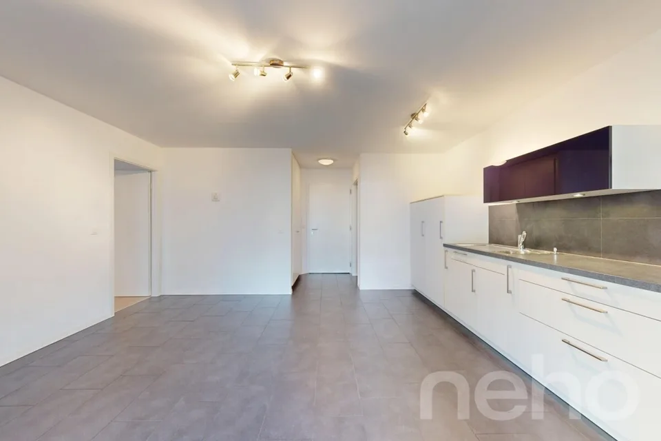 Exclusif: lumineux appartement avec grand balcon-terrasse