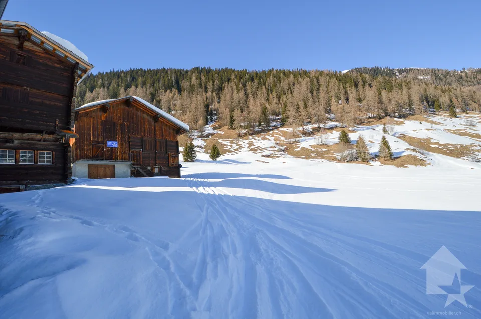 Bauparzelle in Gluringen - Ihr Traumhaus in den Alpen!