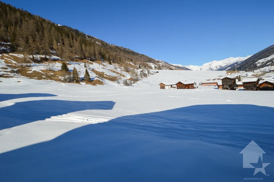 Bauparzelle in Gluringen - Ihr Traumhaus in den Alpen!