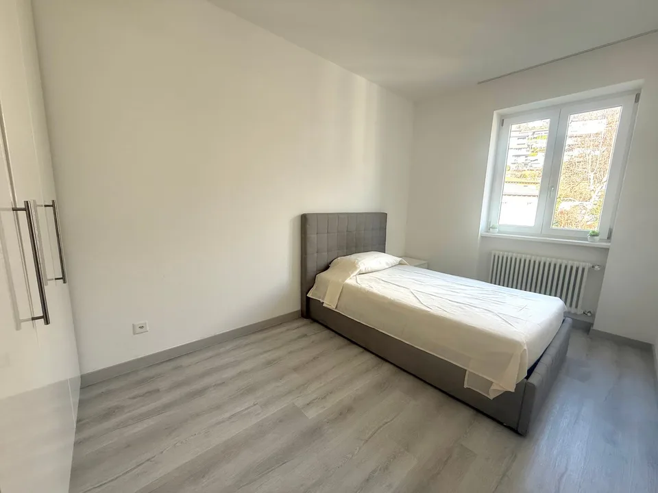 Recherché : entrant pour un appartement neuf de 3,5 pièces à Vacallo