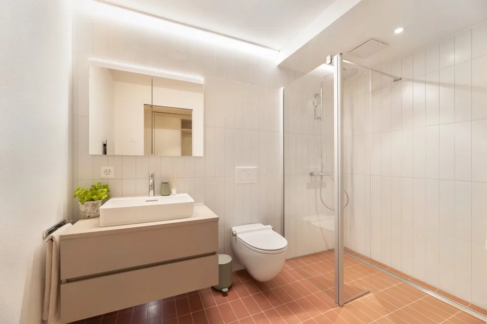 Mit Concierge, Fitness und Pool - Neu im Herzen von Stein am Rhein