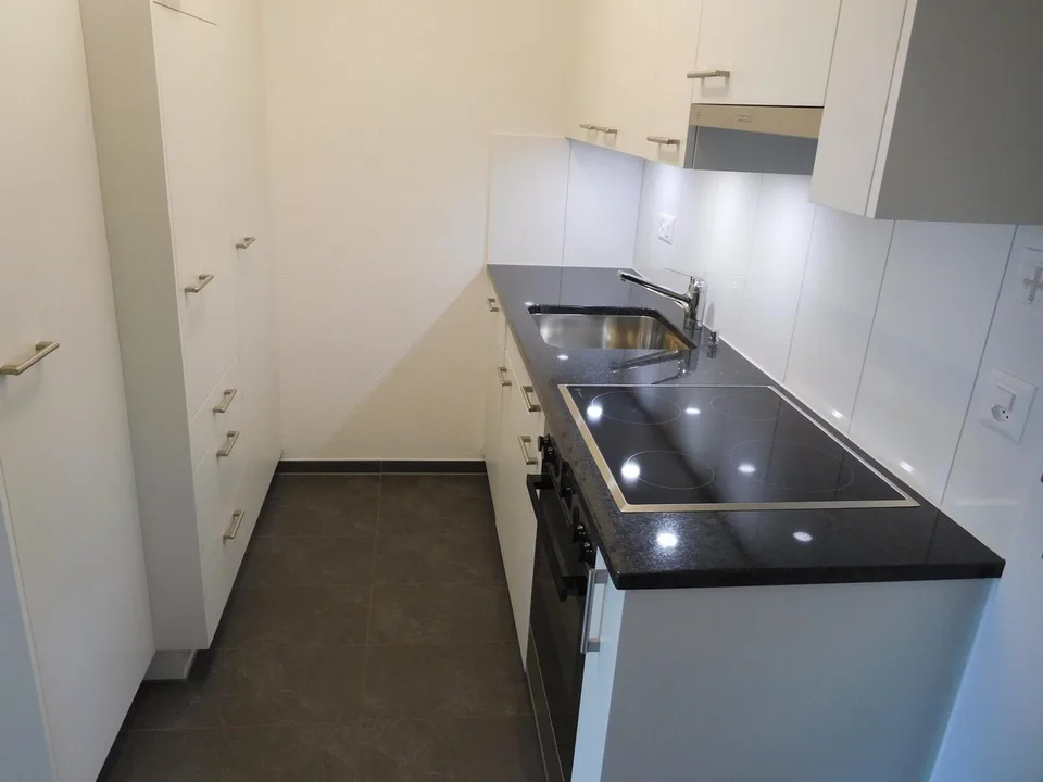 Stilvoll möblierte Wohnung mit schöner Aussicht ins Grüne