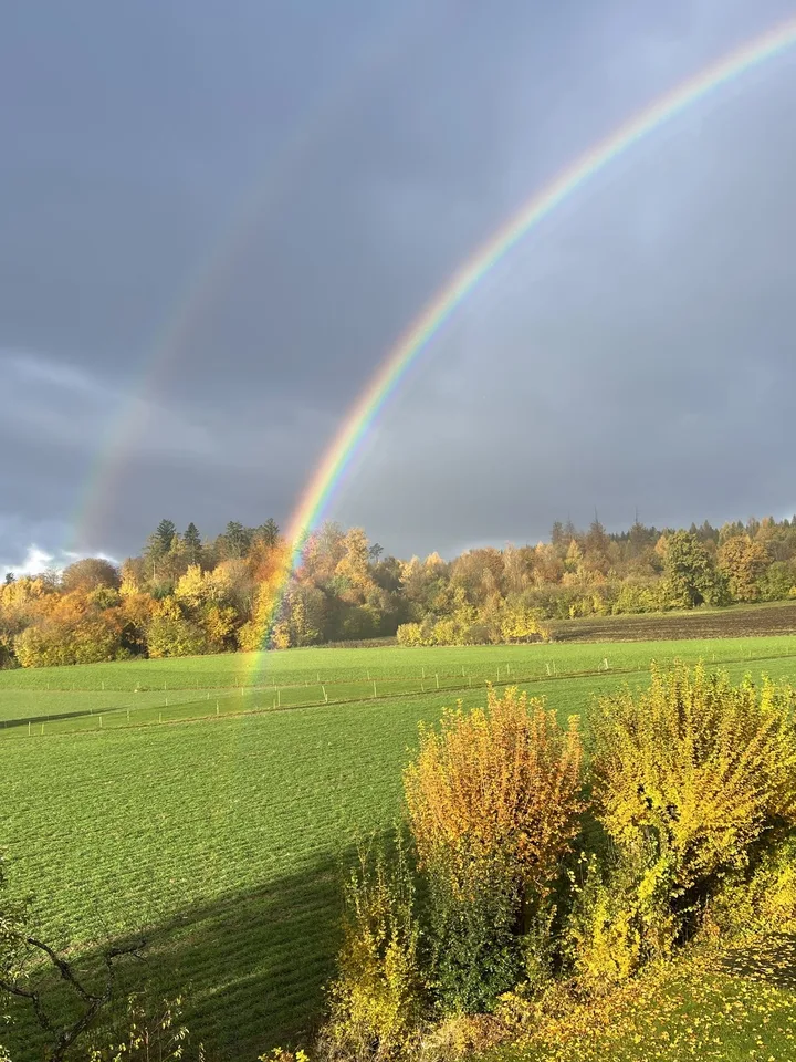 Stilvoll möblierte Wohnung mit schöner Aussicht ins Grüne