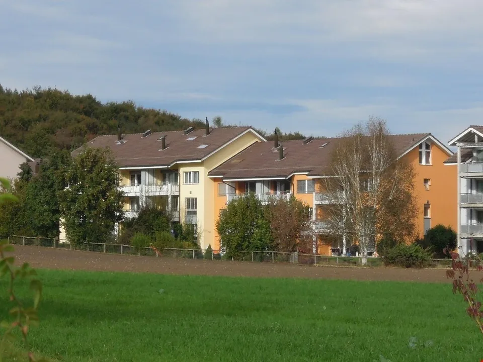 Stilvoll möblierte Wohnung mit schöner Aussicht ins Grüne