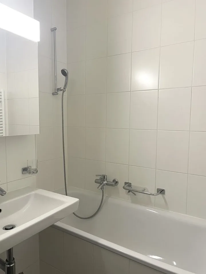Appartement 3 pièces - Jonction