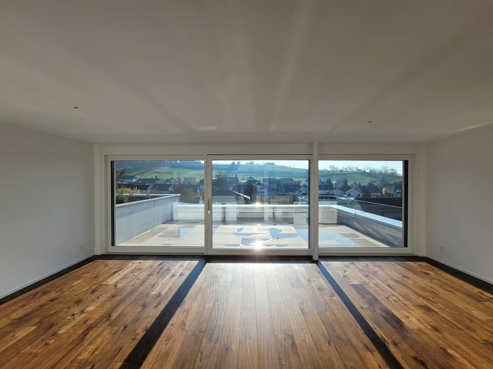 Attractive 3.5-room attic apartment with high-quality construction and dreamy south-west view