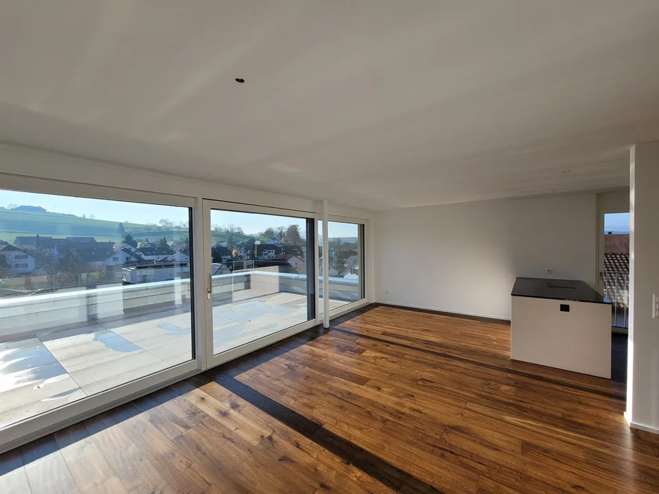 Attractive 3.5-room attic apartment with high-quality construction and dreamy south-west view