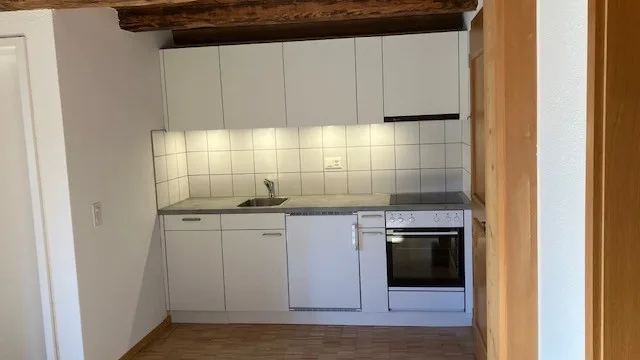 Charming 2-room apartment in historic building Olten city center