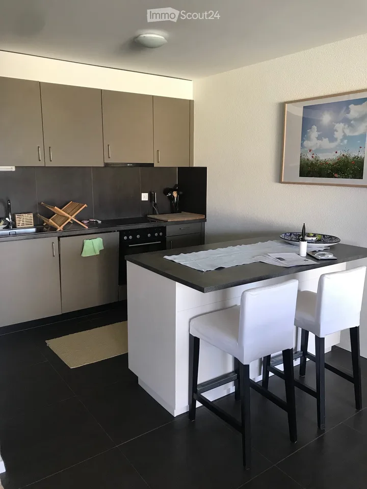 Appartamento arredato di 2 camere da letto, al piano terra con terrazza, a St-Saphorin-sur-Morges