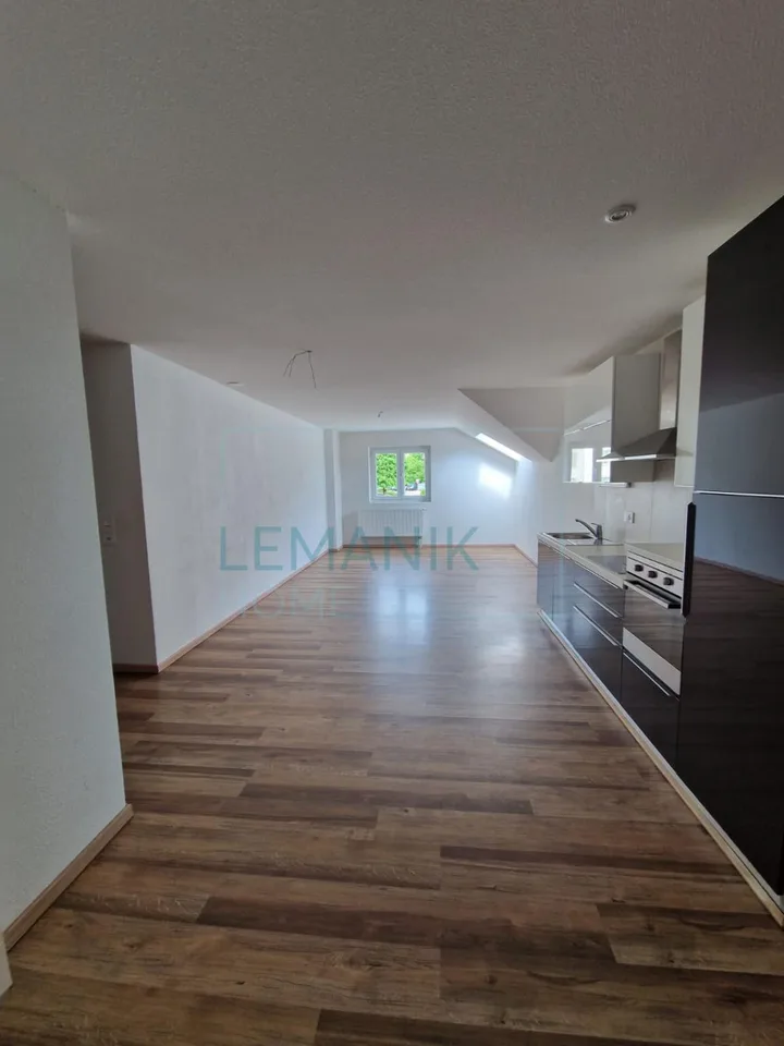 Magnifique appartement 4,5 pièces entièrement rénové