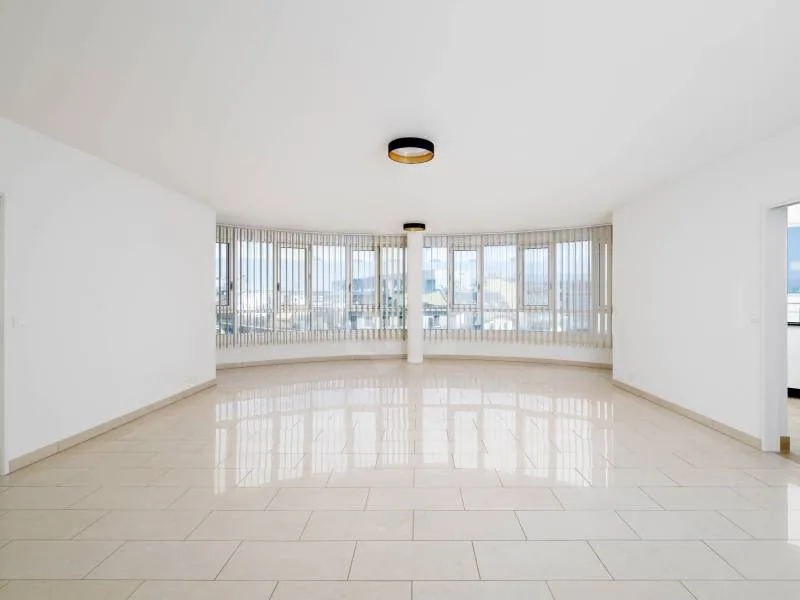 Magnificent apartment - Geneva