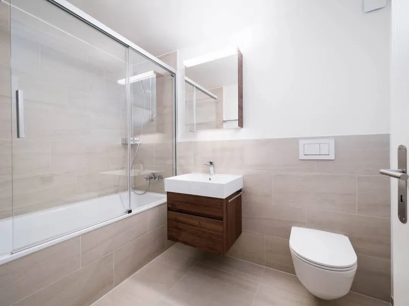 Magnificent apartment - Geneva
