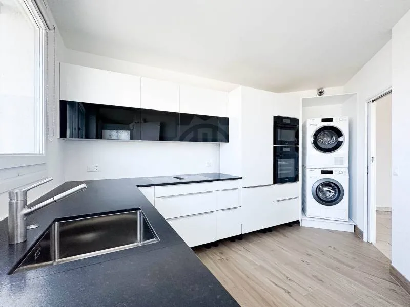 Magnificent apartment - Geneva