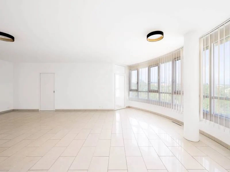 Magnificent apartment - Geneva