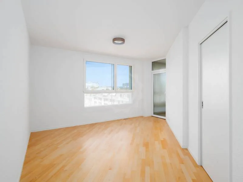 Magnificent apartment - Geneva