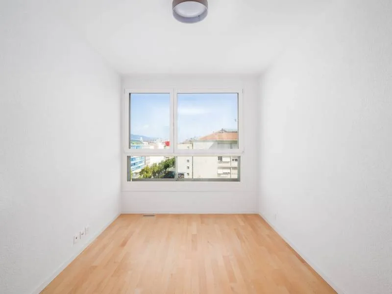 Magnificent apartment - Geneva