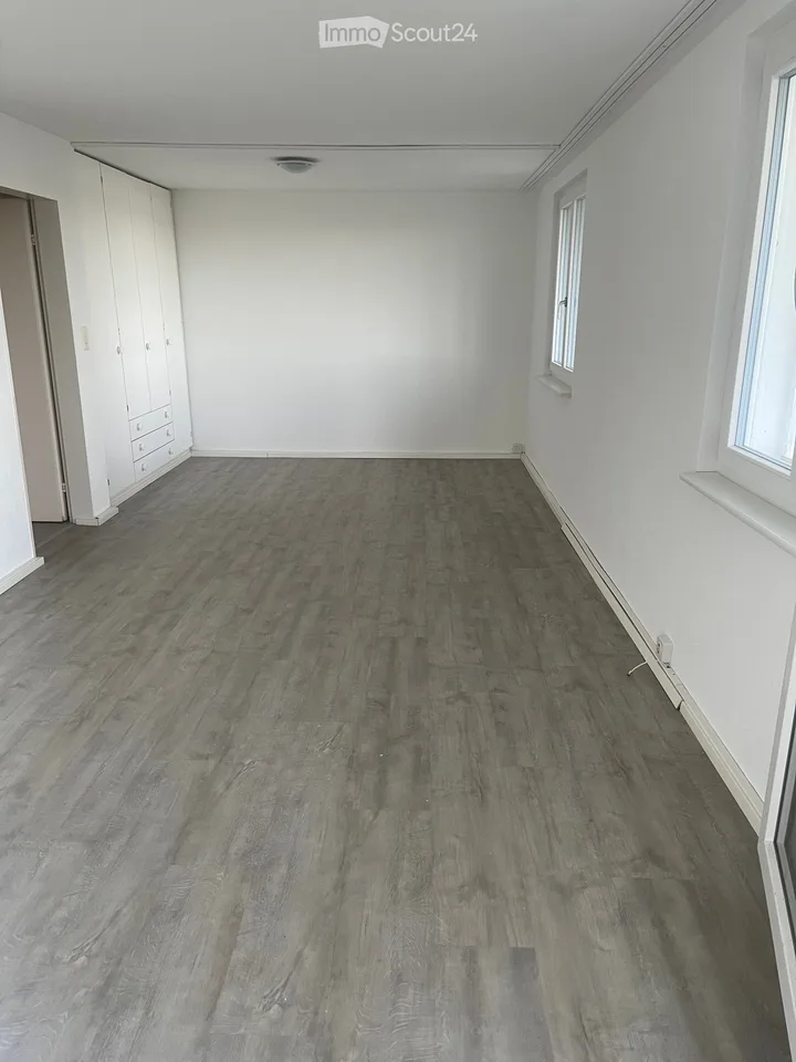 Ruhige 1.5-Zi. Einliegerwohnung mit traumhafter Seesicht