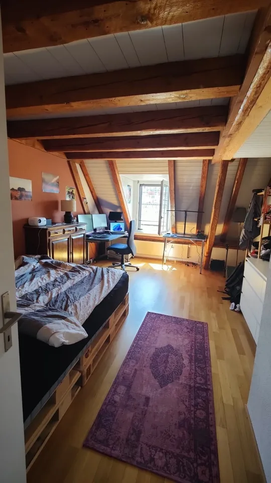 Room in a Maisonette Flat - 3-Person Flatshare, Zurich District 5
