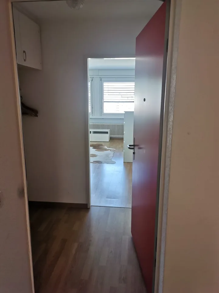 Appartamento arredato 1 camera in affitto