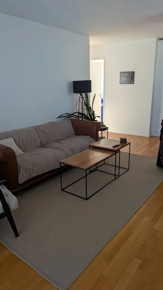 3.5 Zimmer Möblierte Wohnung von Oktober bis Januar