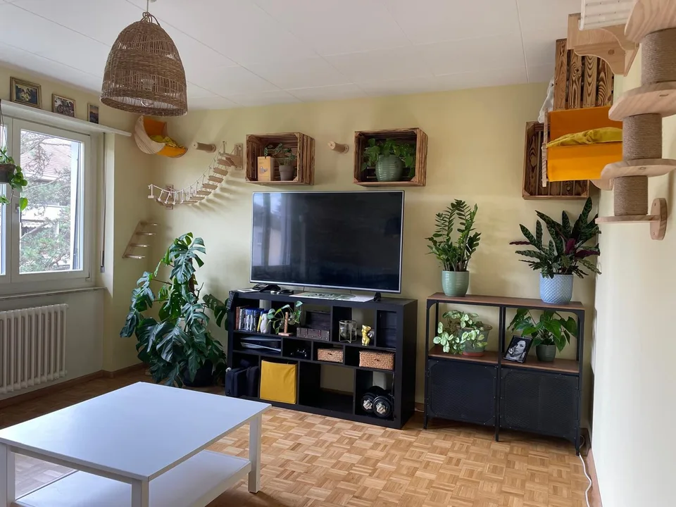 Möblierte 3-Zimmer-Wohnung in Basel zur Zwischenmiete  29.11.2026 bis 28.01.2027