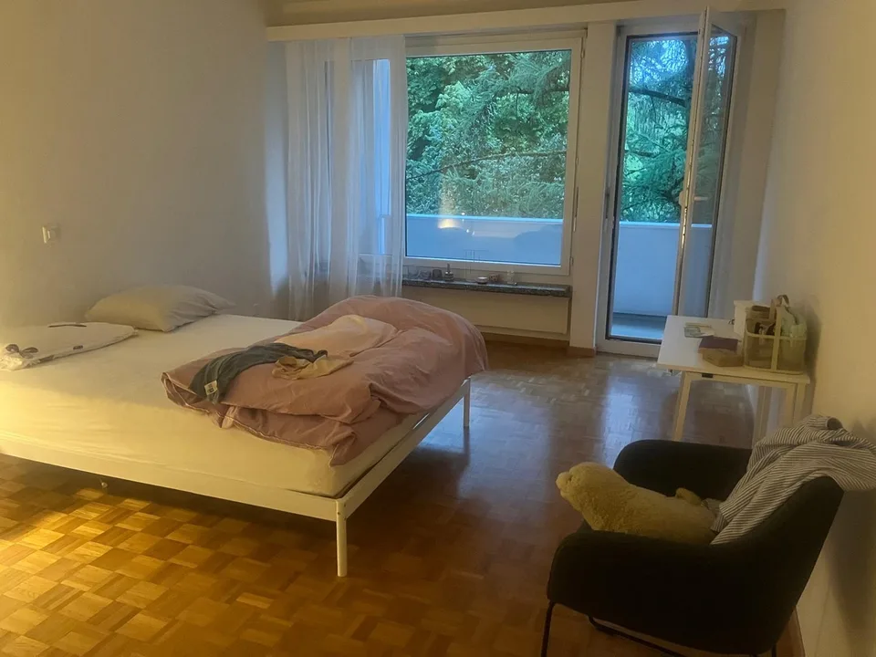 Appartamento di 3 camere con balcone