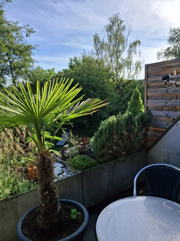Studio in Fehraltorf