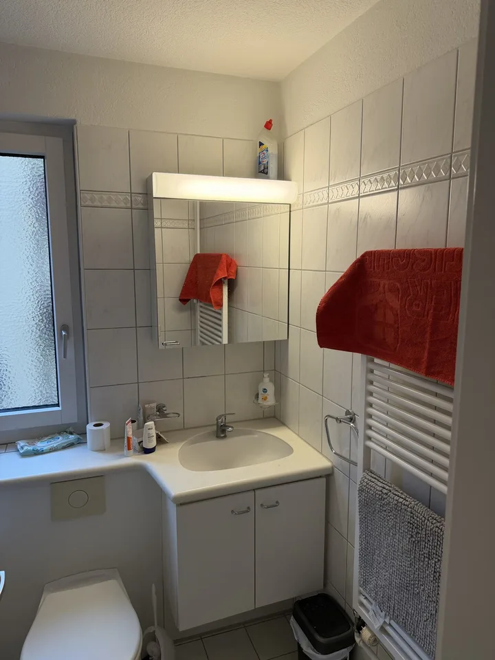 ab sofort: helle 3 Zimmer Wohnung in Nähe von Bahnhof Oerlikon