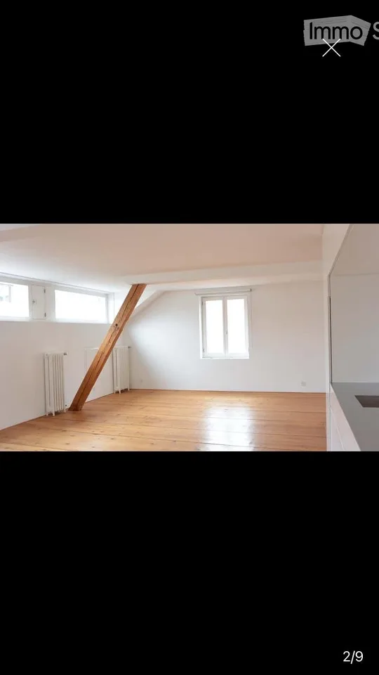Charmante 3-Zimmer-Wohnung mit Kamin und Balkon am Spalentorweg, Basel