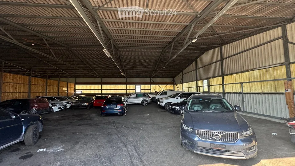 Gewerbe Lager / Halle / Garage / Werkstatt zu vermieten in Aesch (LU)