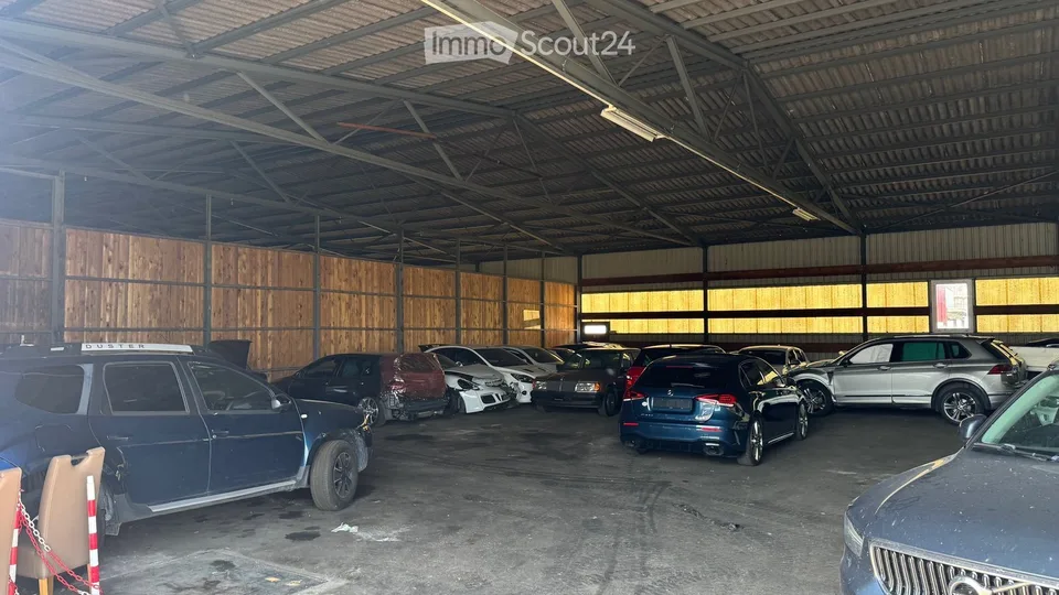 Gewerbe Lager / Halle / Garage / Werkstatt zu vermieten in Aesch (LU)