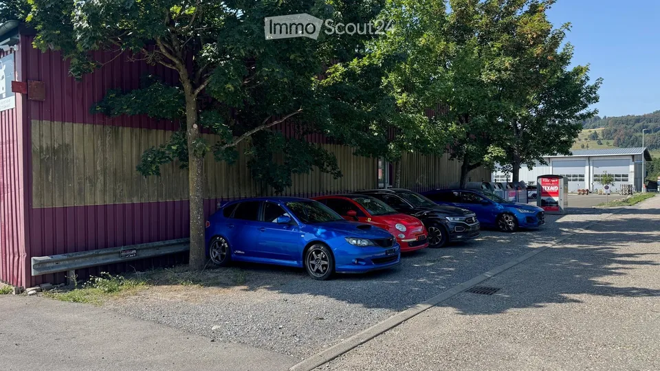 Gewerbe Lager / Halle / Garage / Werkstatt zu vermieten in Aesch (LU)