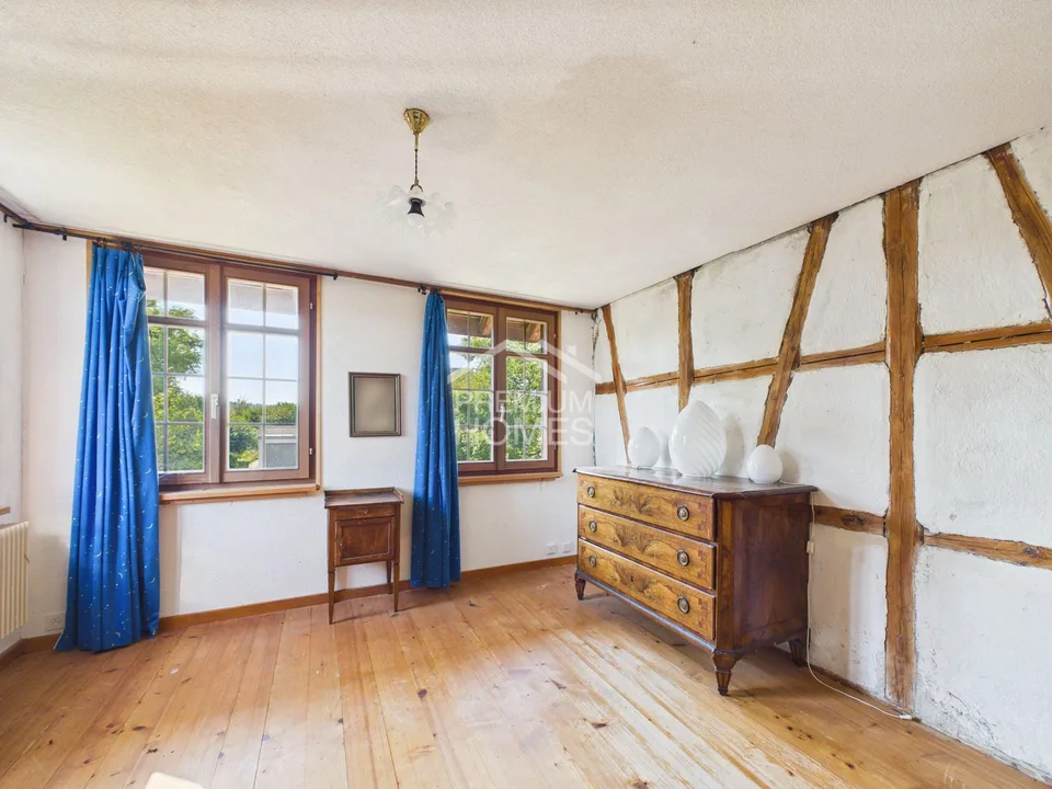 Historic half-timbered house with large plot