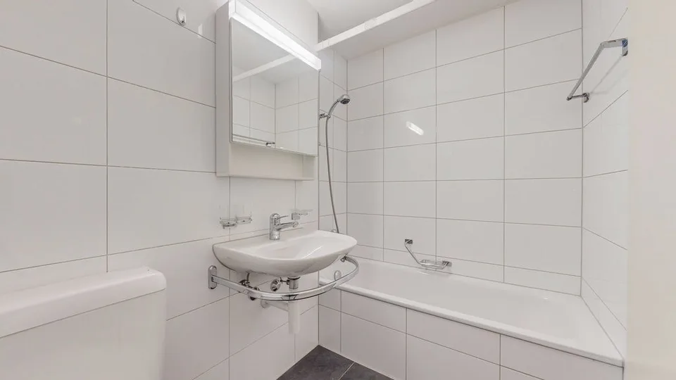 Large 4.5 room apartment in Langental