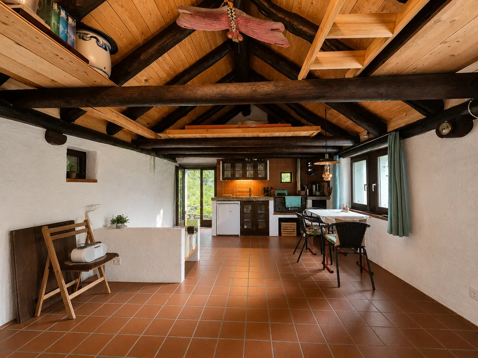Delizioso Rustico nel villaggio idilliaco di Gorduno