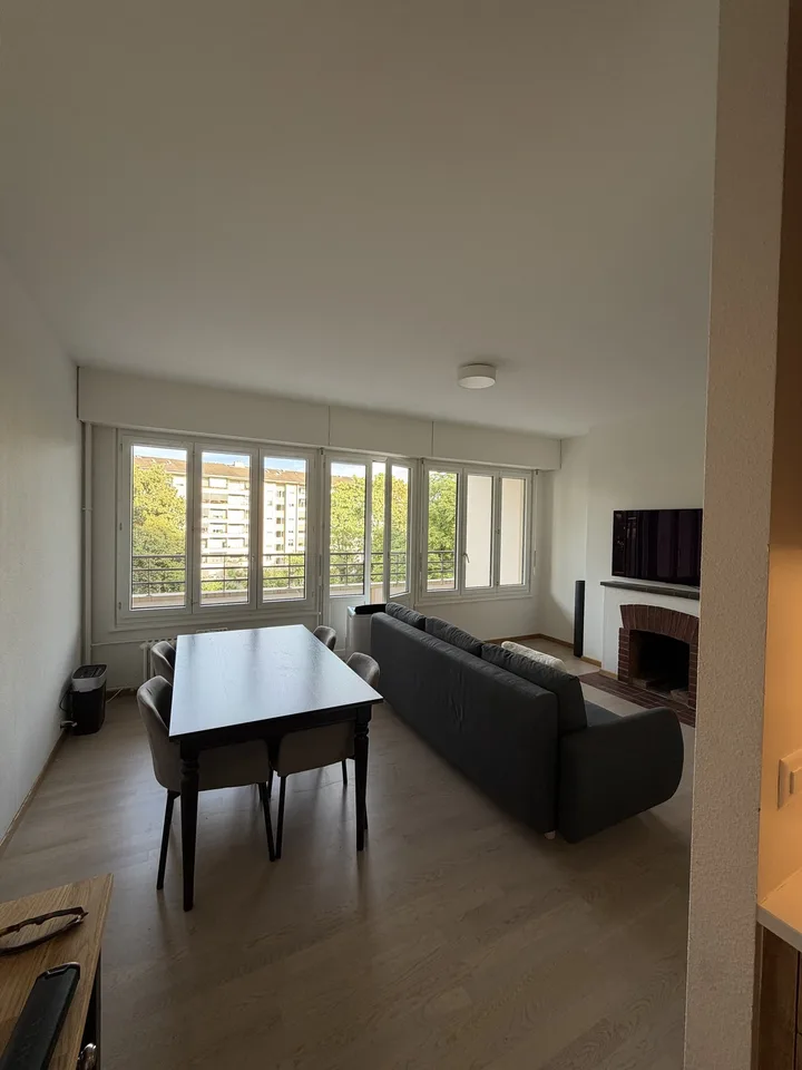 2-Zimmer-Wohnung, 49 m2, Rue du Vidollet Genève 1202