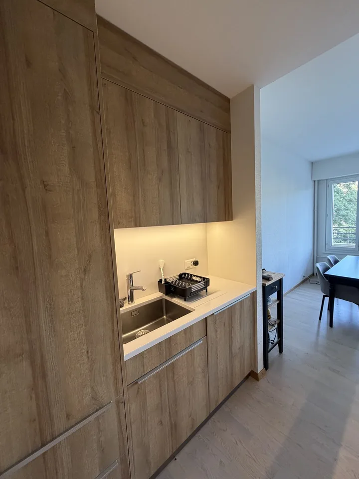 2-Zimmer-Wohnung, 49 m2, Rue du Vidollet Genève 1202