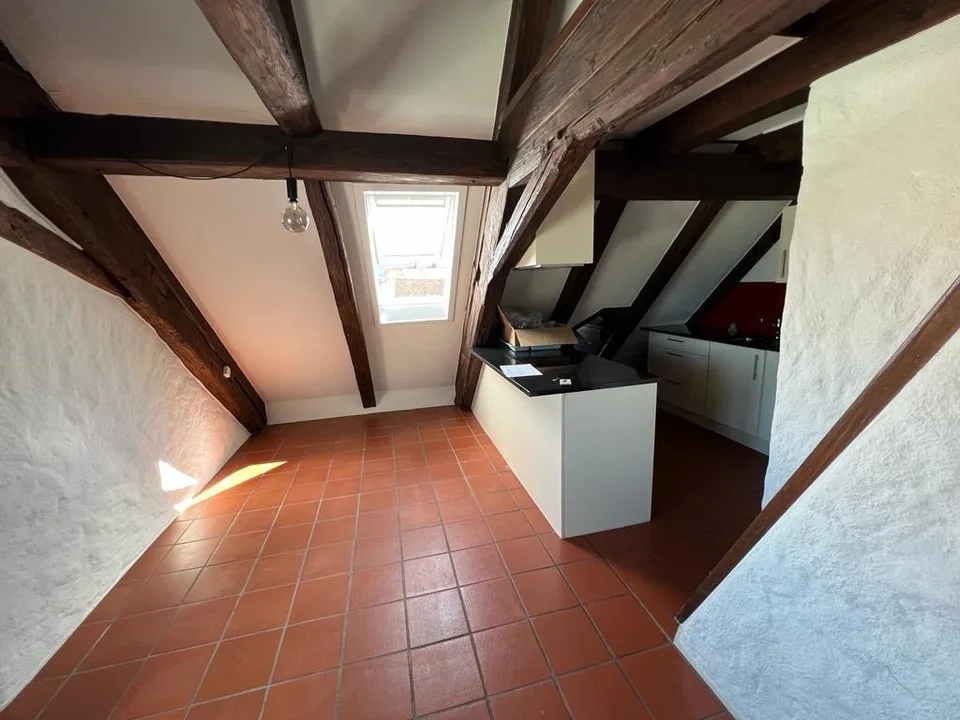 Beautiful & Top Located Attic Apartment in Wädenswil