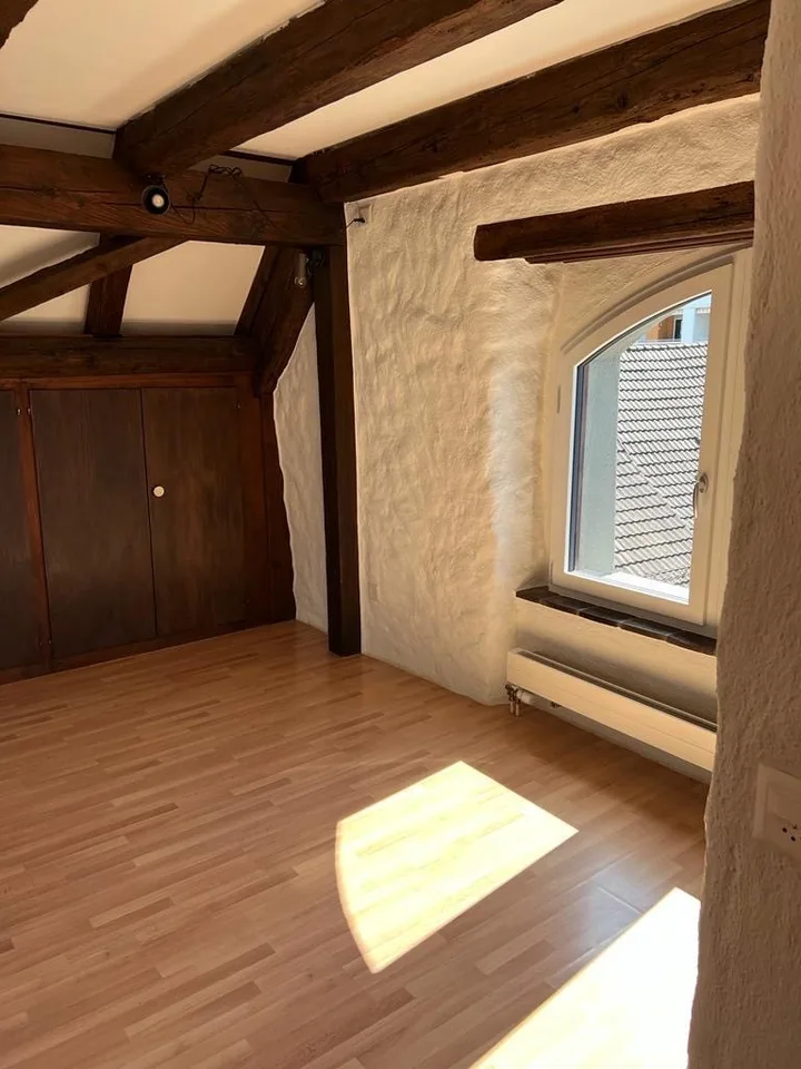 Beautiful & Top Located Attic Apartment in Wädenswil