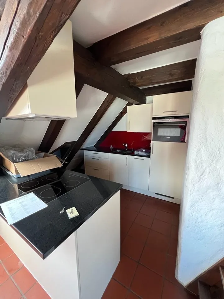Beautiful & Top Located Attic Apartment in Wädenswil