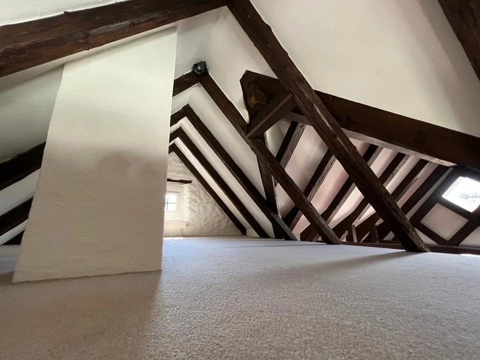 Beautiful & Top Located Attic Apartment in Wädenswil