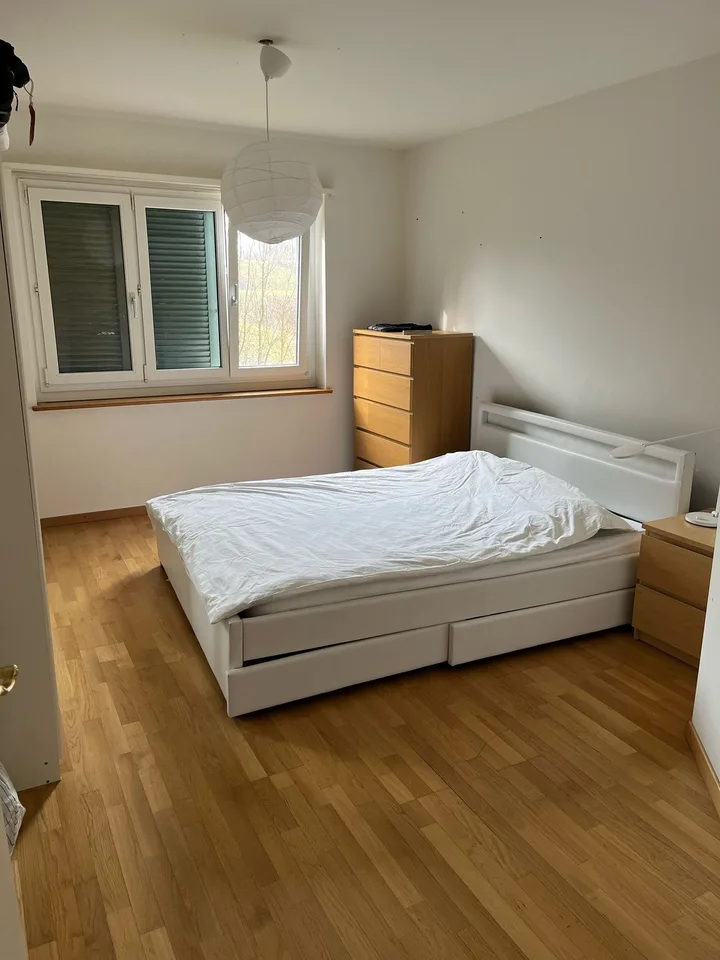 Big room in a shared 2.5 apartment Zurich (Irchel/Oerlikon)