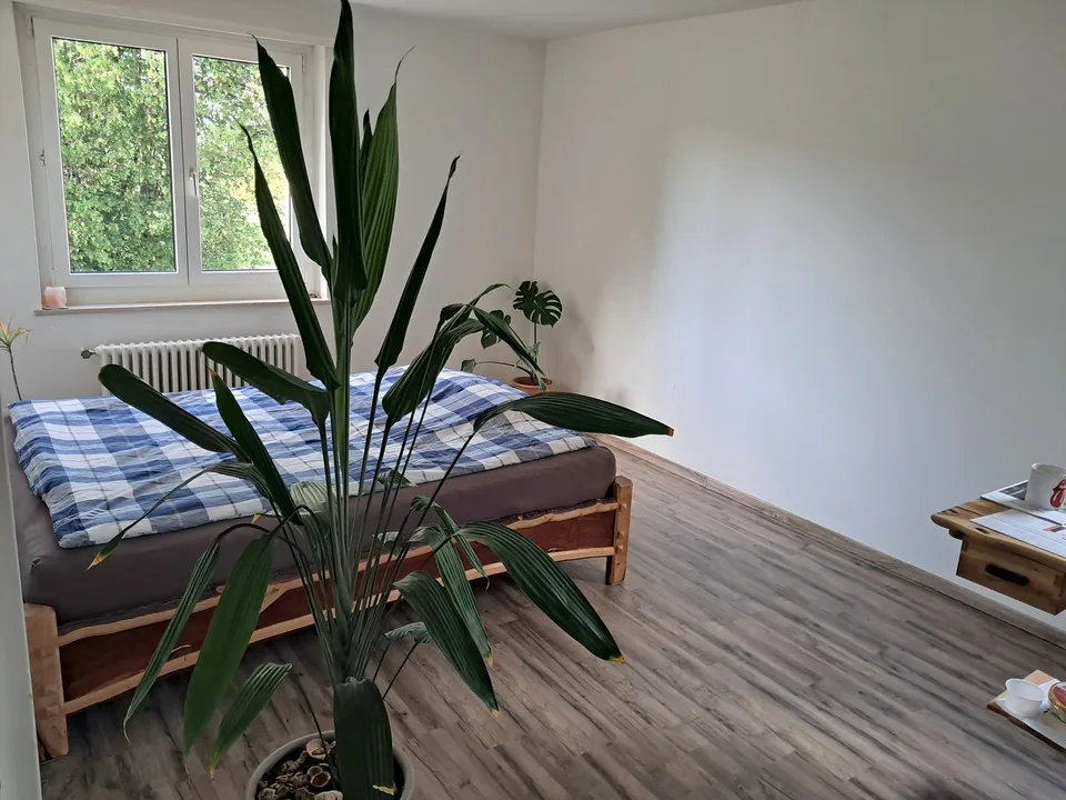 Chambre dans une colocation à Effretikon, près de la gare, environ 20 minutes à Zurich HB