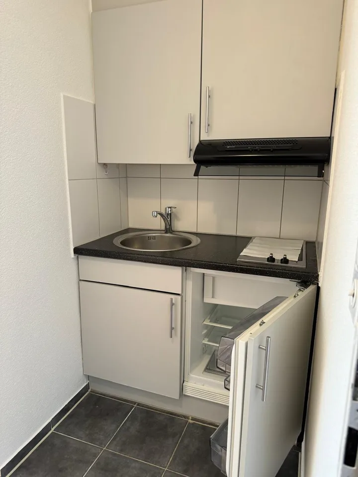 1 room apartment, 8050 Zürich