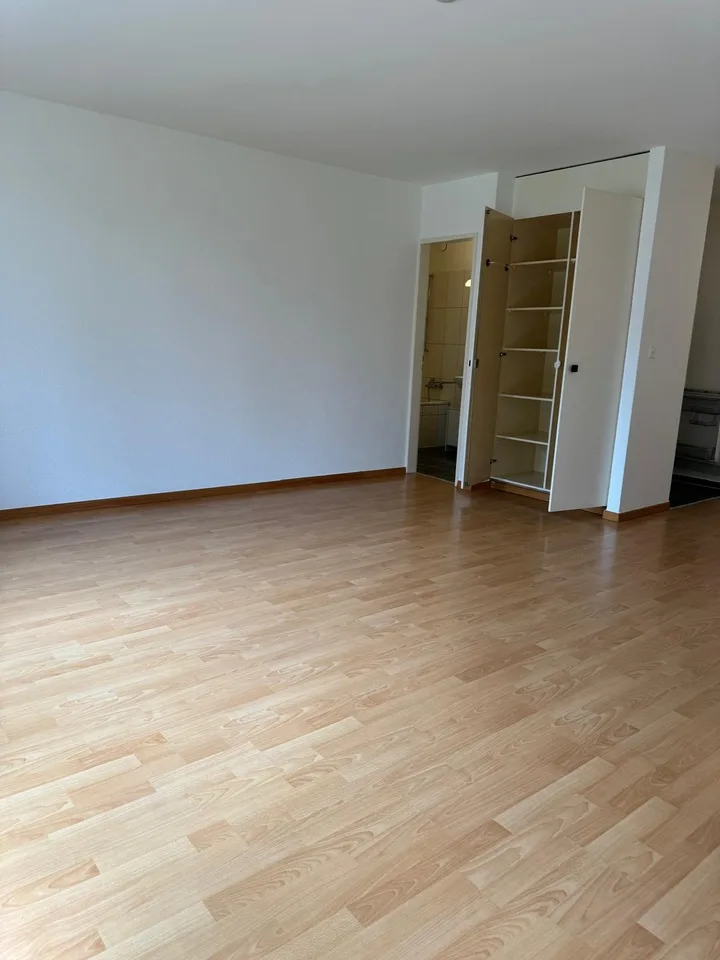 1 room apartment, 8050 Zürich