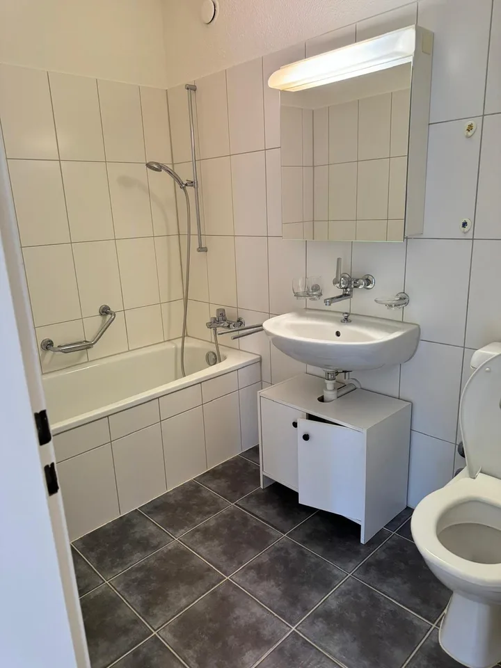 1 room apartment, 8050 Zürich