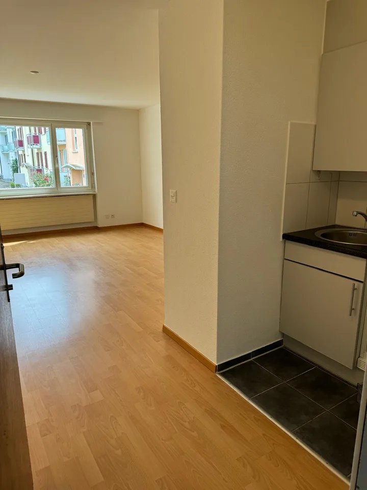 1 room apartment, 8050 Zürich