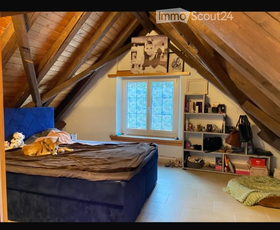 Appartement calme dans le vert 3,5 pièces