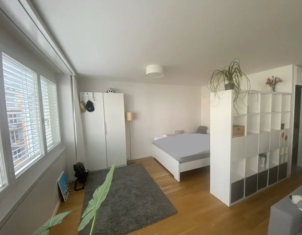 Appartement 1.5 pièces, Habsburgerstrasse 6003 Luzern